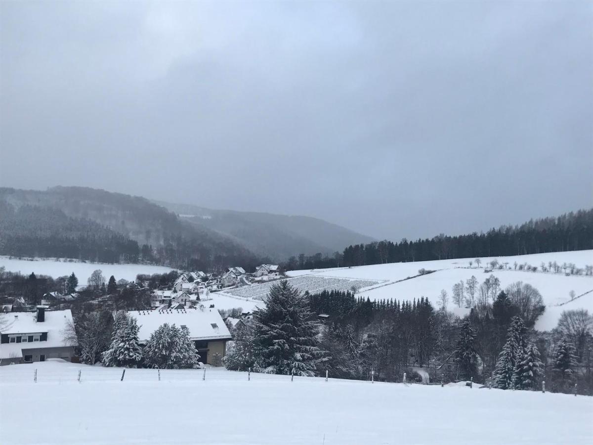 Appartement Familie Willems Winterberg 3 Εξωτερικό φωτογραφία