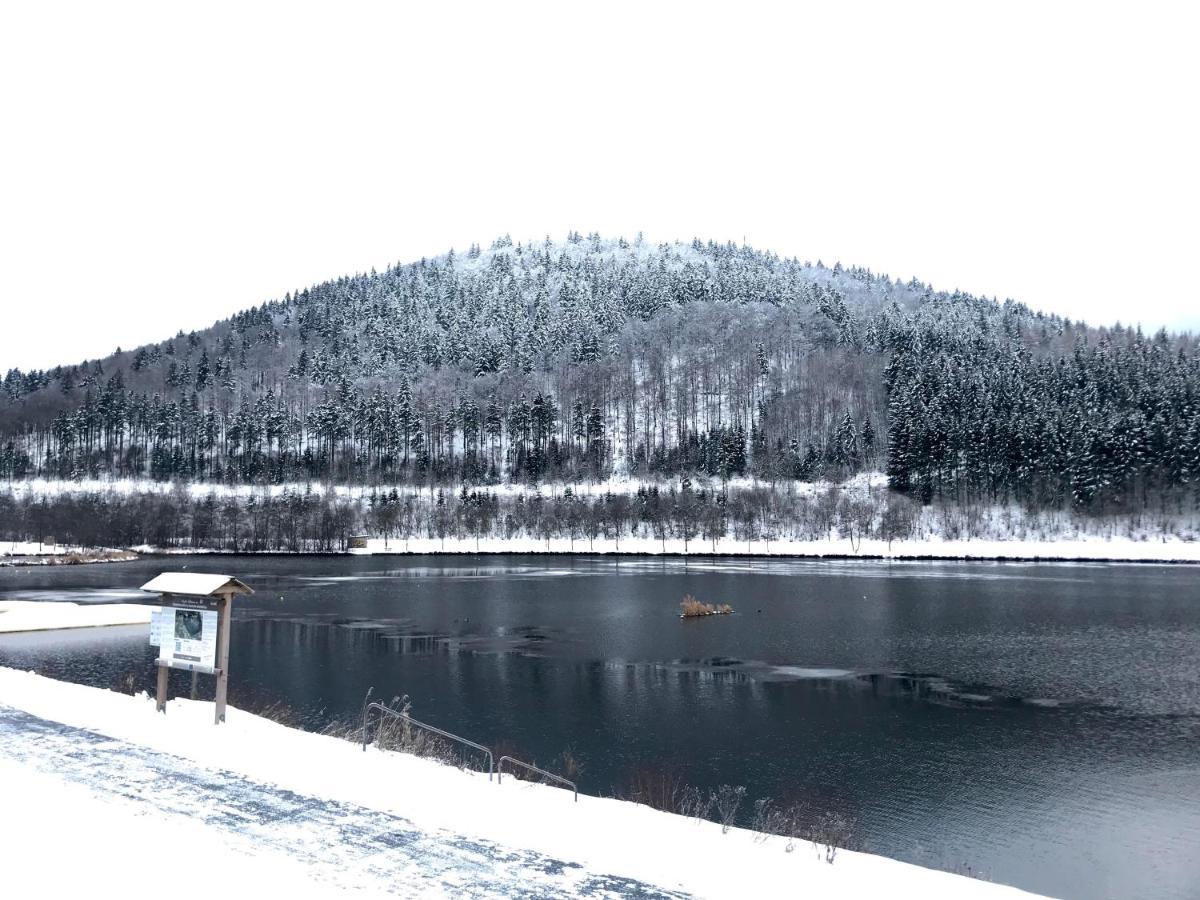 Appartement Familie Willems Winterberg 3 Εξωτερικό φωτογραφία